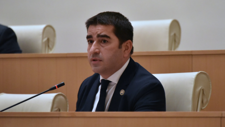 Papuaşvili: Bəziləri qanunları öz övladlarına aid olduqda xatırlayırlar