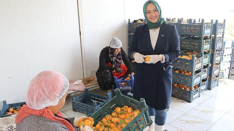 İşçidən sahibkarlığa: Xurmanın gücü ilə Kanada bazarına çıxdı 