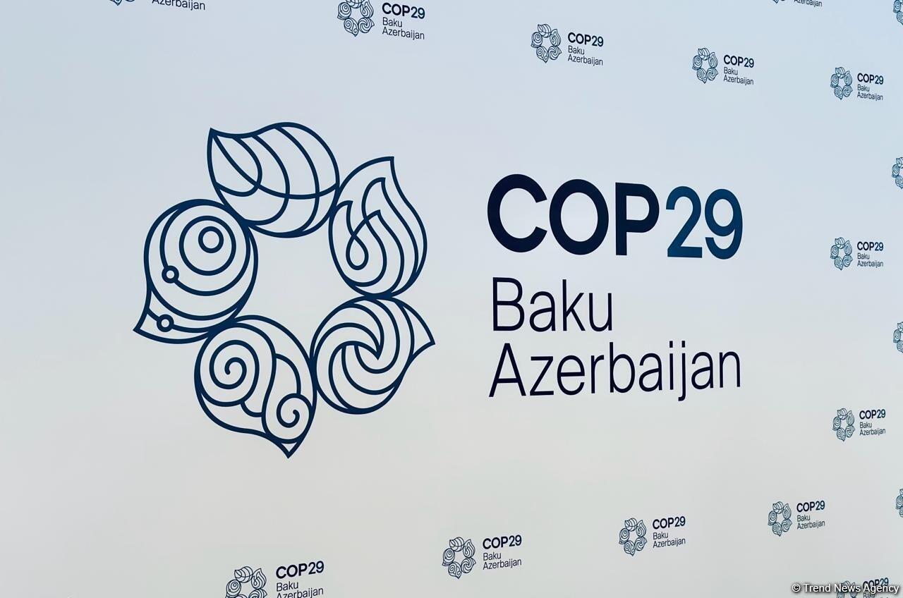 COP29 Azərbaycanda: Mərkəzi Asiya üçün yeni iqlim həlləri