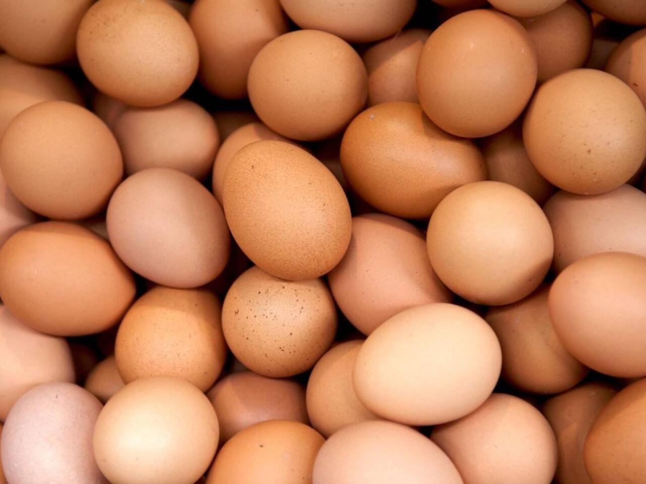 Yumurtanı soyuducuda tərs saxlayın  Görün nə olacaq