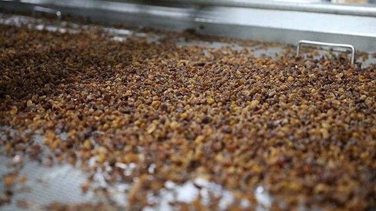 Yaponların g&uuml;cl&uuml; yaddaşının sirri: Azərbaycanda &uuml;z&uuml;nə baxmırlar