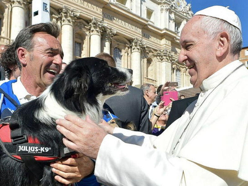 Papa Fransisk ev heyvanlarını sevənləri eqoist adlandırdı 
