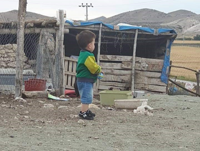 Ağcaqanad 1 yaşlı uşağın həyatını məhv etdi  6 ildir yataq xəstəsidir  FOTO