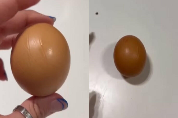 Unikal toyuq yumurtası  VİDEO