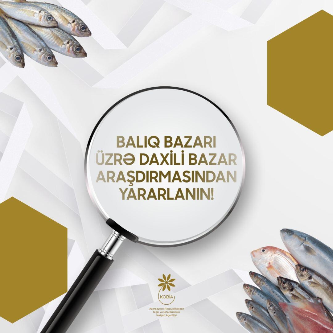 Balıq bazarı ilə bağlı bazar araşdırması aparılıb