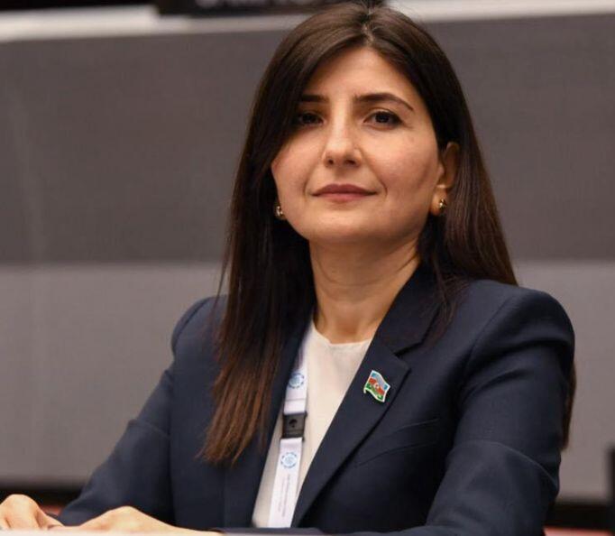 Sevil Mikayılova dövlət büdcəsində “süni intellekt” və “mavi iqtisadiyyat”la bağlı bölmələrin yaradılmasını təklif edib