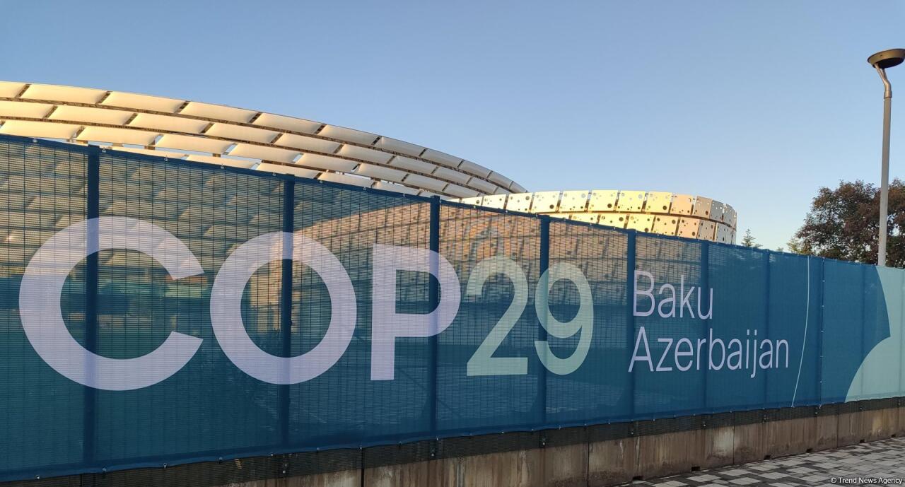 Onlar COP29dan uzaqlaşdırıldı