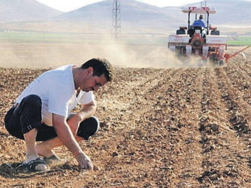 Məhsulundan əlavə tarlanın özü də zəkata daxildirmi?