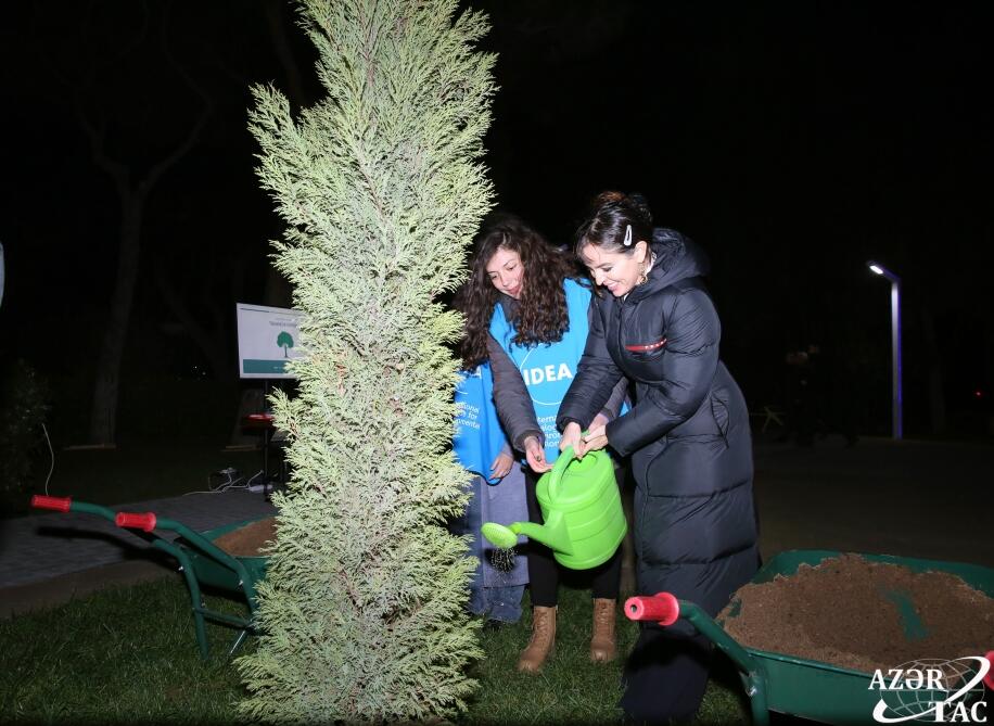 Leyla Əliyevanın iştirakı ilə Bakıda ağaclar qeydiyyata alınır  FOTO