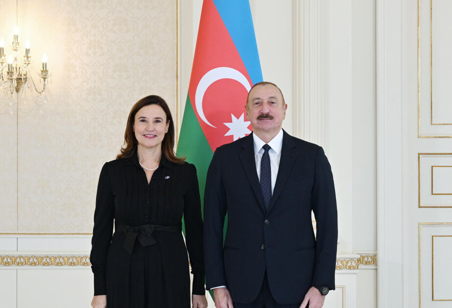 Prezident Mariyana Kuyundziçin etimadnaməsini qəbul edib  FOTO
