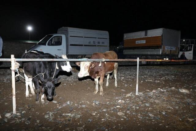 Bu rayonda heyvan bazarında nöqsanlar aşkarlandı