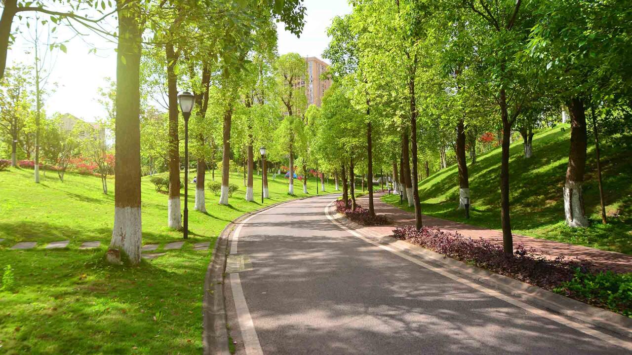Bakının bu ərazisində park salınacaq  FOTO