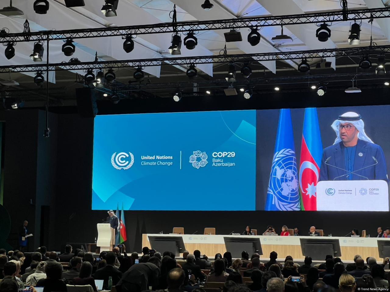 COP29 Azərbaycanda növbəti uğurunu qazanacaq  COP28 prezidenti