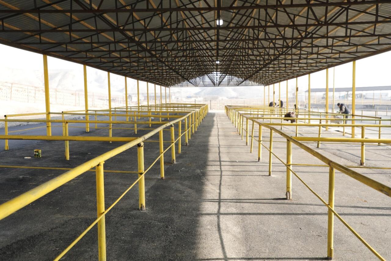 G&ouml;y&ccedil;ay heyvan satışı bazarının yaxın g&uuml;nlərdə a&ccedil;ılışı olacaq