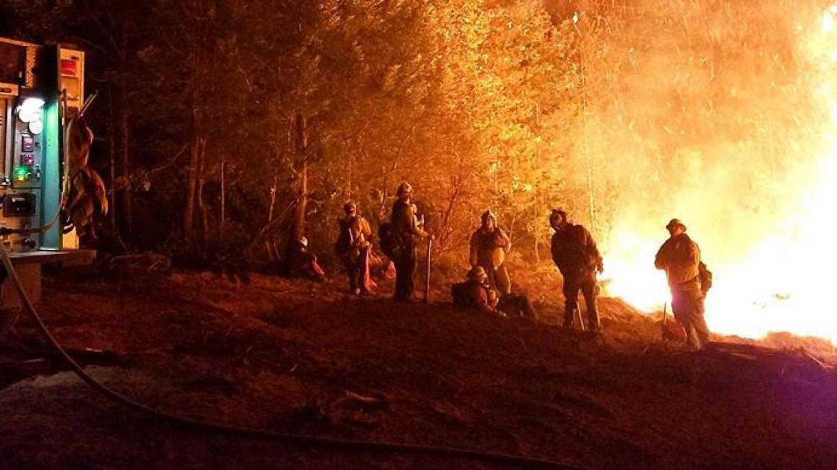 ABŞdə meşə yanğını 300 hektardan çox ərazini bürüdü