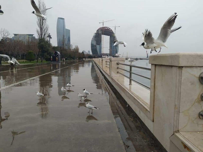 Bakıda yağış yağacaq, külək əsəcək