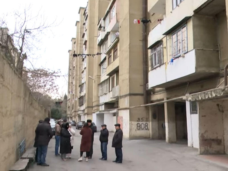 "Qış günü evimizdə qamışlıqdakı boyda ağcaqanadlar var"  VİDEO