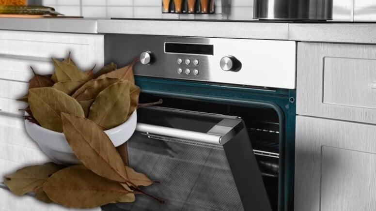 Sobaya dəfnə yarpağı qoyun  nəticəyə inanmayacaqsınız