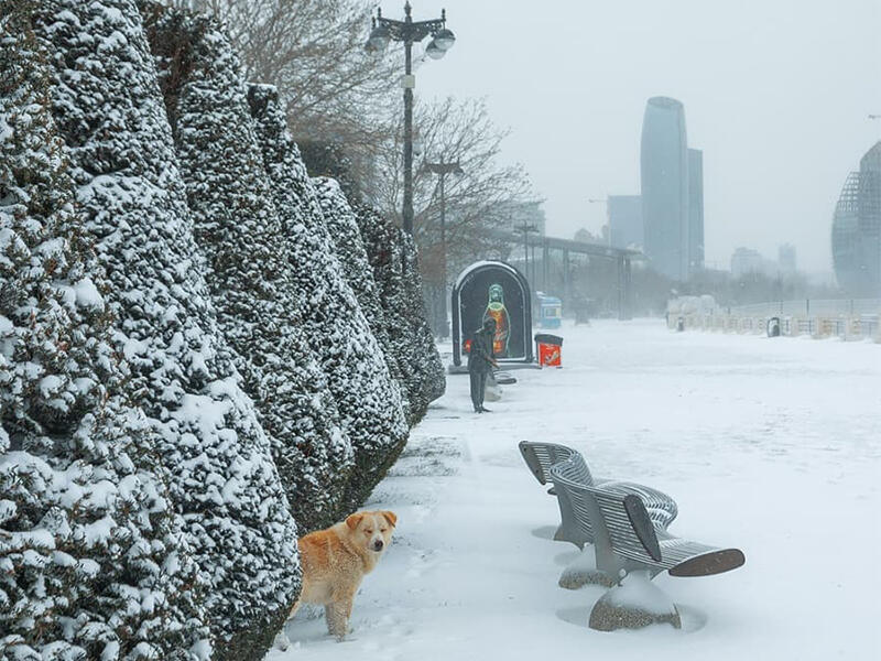 Bu il Bakıya qar yağacaq?