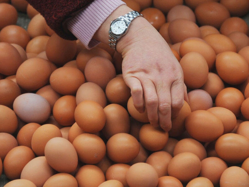 Bu ölkədə yumurtanın qiyməti rekord həddə çatdı