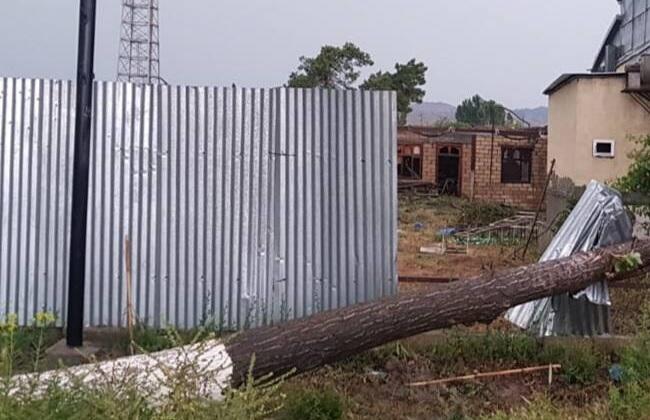 Bakıda BƏDBƏXT HADİSƏ: Güclü külək 9 yaşlı uşağın ölümünə səbəb oldu  FOTO