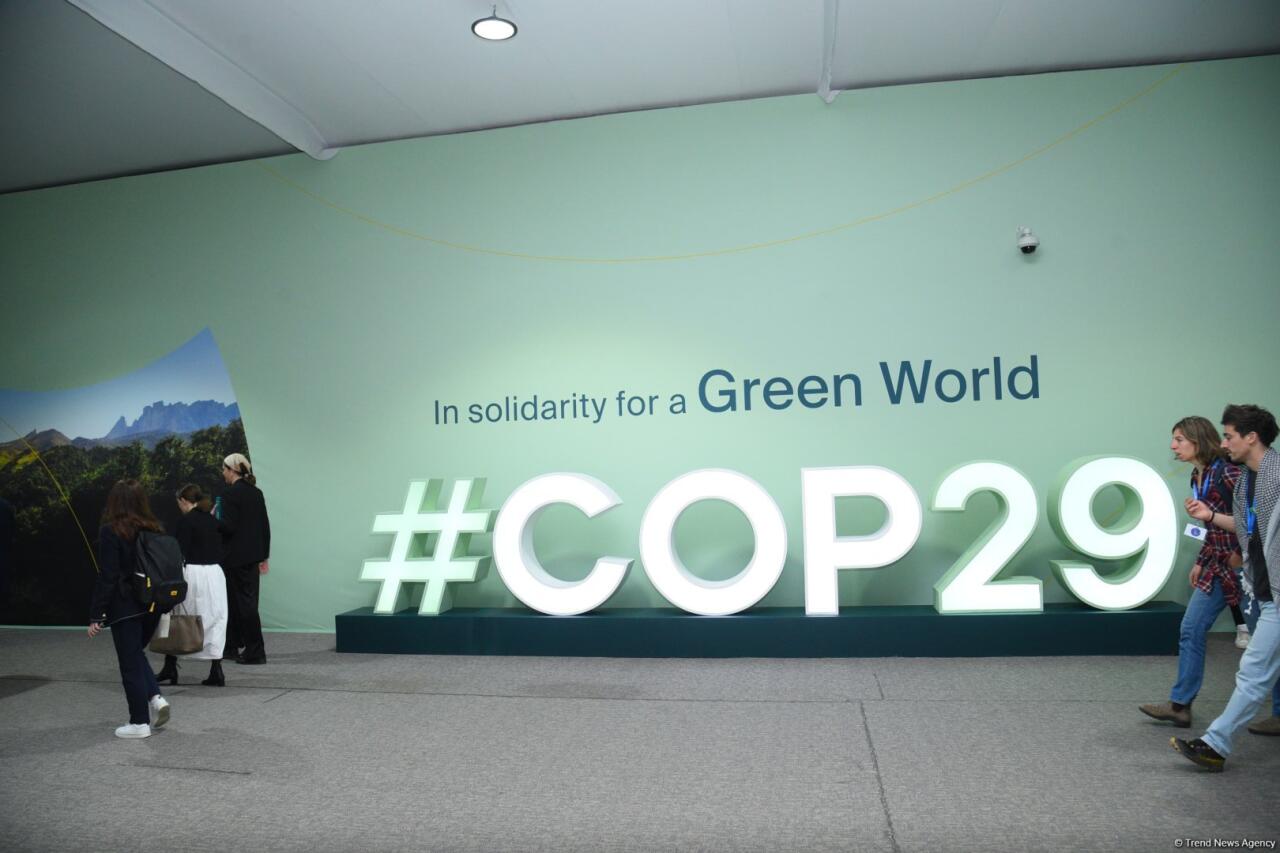 COP29un doqquzuncu günündən