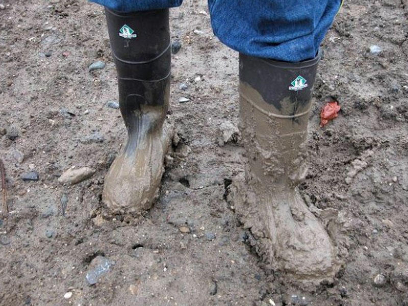 "Kəndimizin yoluna g&ouml;rə bizə qız verən yoxdur"
