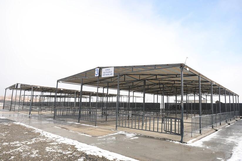 Ağcabədi heyvan bazarının fəaliyyətinə icazə verilib