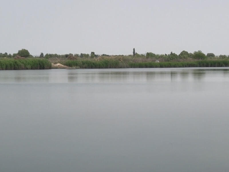 Sabirabadda bələdiyyənin gölü icarəyə verməsi sakinlərin etirazına səbəb oldu  VİDEO