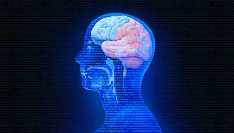 Beyinə zərər verən qidalar açıqlandı