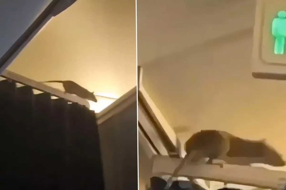 Təyyarəyə si&ccedil;an girdi, u&ccedil;uşu dayandırıb 36 saat onu axtardılar