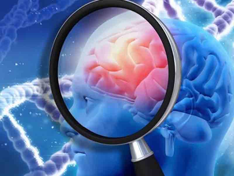 Bu vərdiş beyni 8 il gəncləşdirir – alimlərdən maraqlı açıqlama