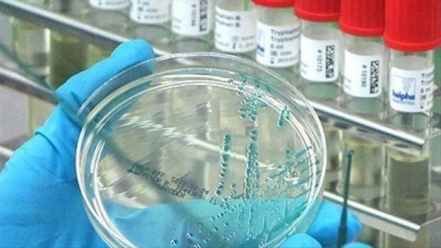 “Virus hələ də bizimlədir” – Səhiyyə Nazirliyi xəbərdarlıq edir