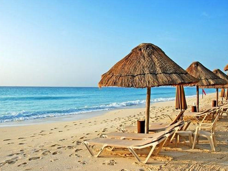 &Ccedil;imərlikdə 5 yaşlı oğlan naməlum məxluq tapdı 