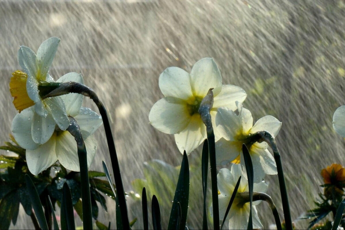Hava kəskin dəyişir: leysan, şimşək 