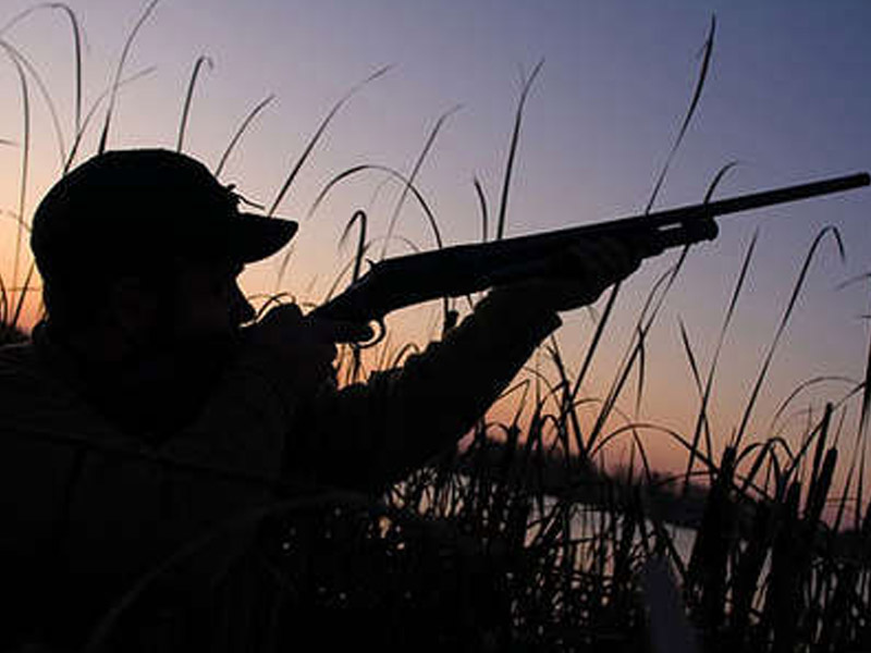 Qanunsuz ov edənlər altı min manat cərimələnib