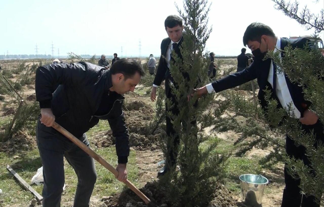 Ulu öndər Heydər Əliyevin 100 illiyi münasibətilə növbəti ağacəkmə aksiyası keçirilib  FOTO