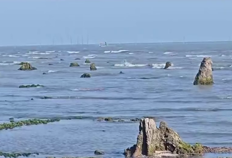 Azərbaycanda dəniz geri çəkildi, meşə zolağı ortaya çıxdı  FOTO