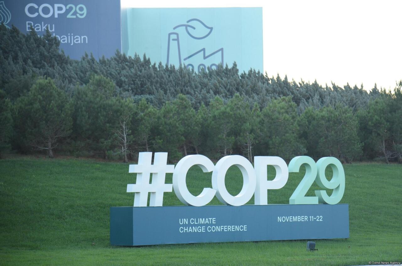 COP29 konfransının proqramı açıqlandı