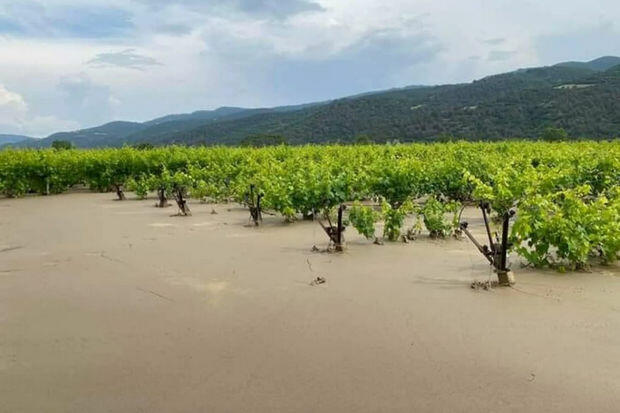 Türkiyədə hektarlarla kənd təsərrüfatı sahələri su altında qaldı  FOTO