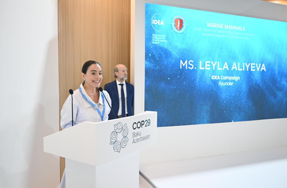 Leyla Əliyeva COP29 çərçivəsində dəniz canlılarına dair panel müzakirələrində iştirak edib  FOTO