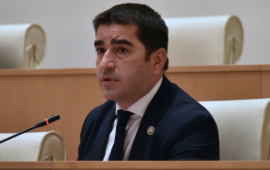 Papuaşvili: Bəziləri qanunları öz övladlarına aid olduqda xatırlayırlar