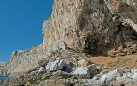 40 min illik sirr a&ccedil;ıldı: Buz d&ouml;vr&uuml;n&uuml;n "qonağı" laboratoriyada