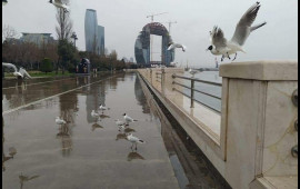 Bu tarixə kimi yağış yağacaq