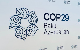 COP29 Azərbaycanda: Mərkəzi Asiya üçün yeni iqlim həlləri