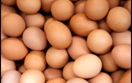 Yumurtanı soyuducuda tərs saxlayın  Görün nə olacaq