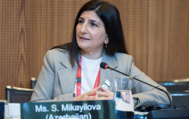 Deputat Sevil Mikayılova Cenevrədə beynəlxalq tədbirdə çıxış edib  VİDEO  FOTO