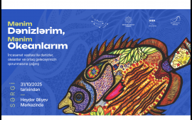 “Mənim Dənizlərim, Mənim Okeanlarım” sərgisi ilk dəfə Heydər Əliyev Mərkəzində  VİDEO