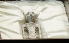 NASA mütəxəssisi Meksikada nümayiş olunan “yadplanetli mumiyalar”a münasibət bildirdi