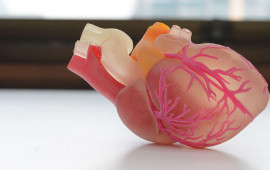 Ürək hüceyrə terapiyasını daha təhlükəsiz edən YENİ ÜSUL